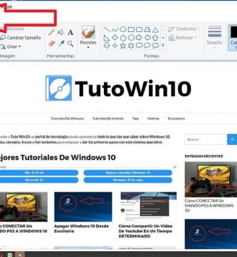 Realizar Una Captura De Pantalla De Pc.