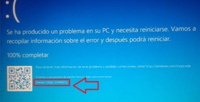 0xc00021a error