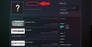 poner perfil de steam invisible.