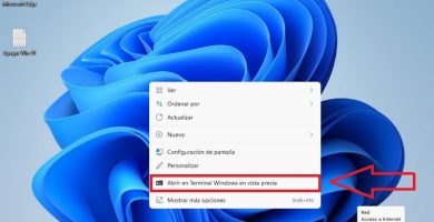 borrar windows terminal menú contextual windows 11.