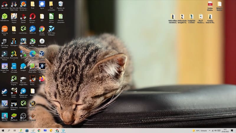 Poner Fondos de Pantalla de Gatos con Movimiento en Windows 10 2023