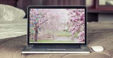 Fondo primavera PC.