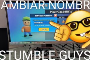 Modificar nombre de usuario gratis en Stumble Guys.