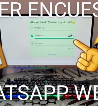 hacer encuestas whatsapp web.