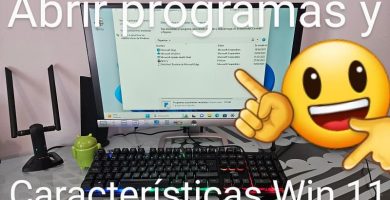 Programas y características Windows 11.