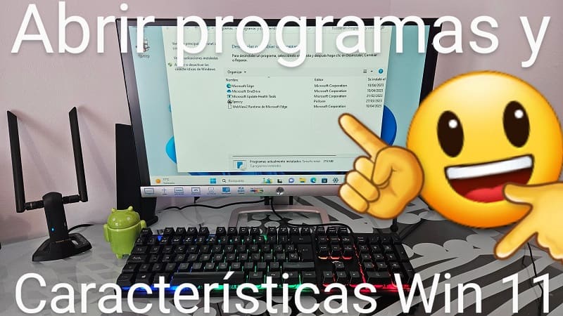 Programas y características Windows 11.