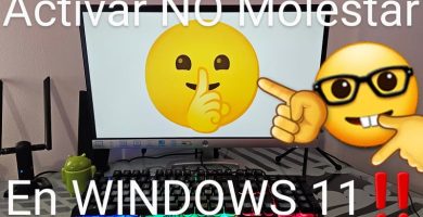 Activar no molestar Windows 11.