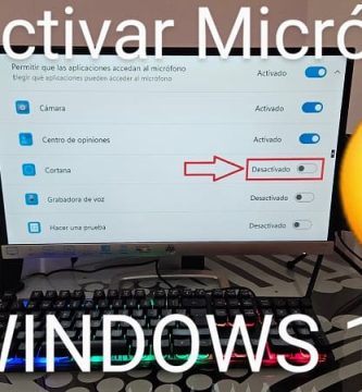 Quitar micrófono Windows 11.