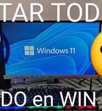 borrar todo el sonido de golpe en Windows 11.