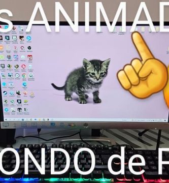 poner un gif como fondo de pc.