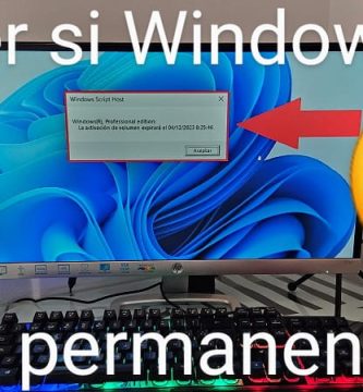 Windows 11 activado permanentemente.