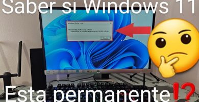 Windows 11 activado permanentemente.