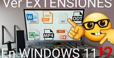 Mostrar extensiones de archivos en Windows 11.