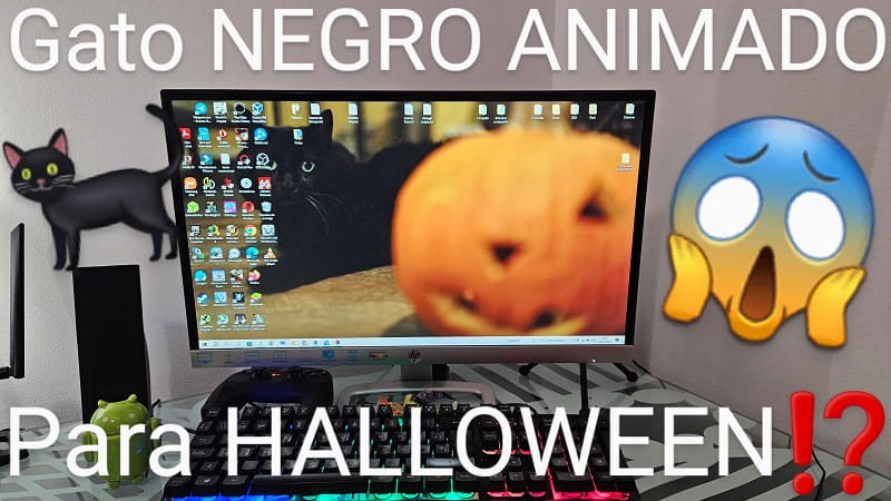 Gato negro Halloween con movimiento.
