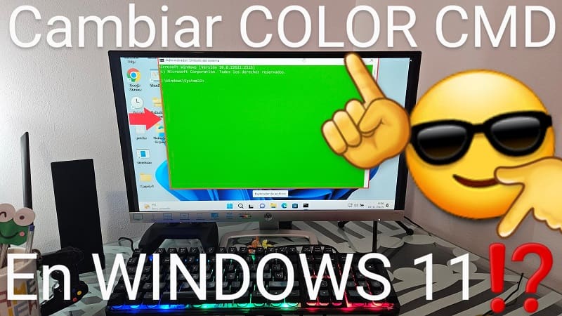 Cambiar color CMD de Windows 11.
