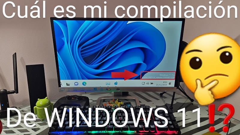 Ver número de compilación Windows 11.