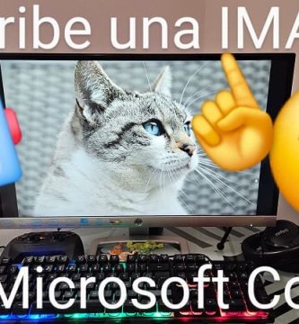 Pedirle a microsoft Copilot que te describa una imagen.