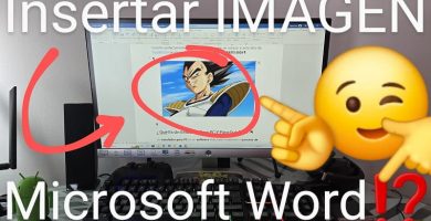 Insertar fotos en Microsoft Word.