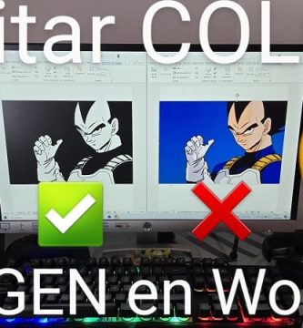 quitar el color a una foto en word.