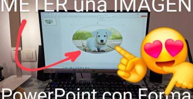 Meter una foto dentro de una forma en PowerPoint.