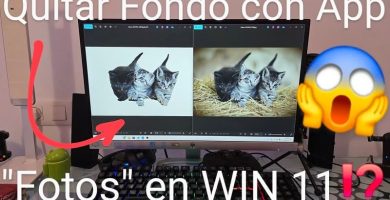 eliminar fondo aplicación fotos Windows 11.