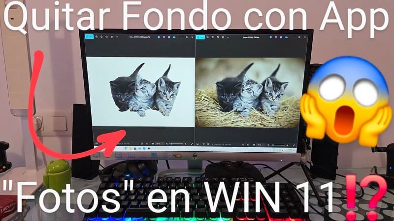 eliminar fondo aplicación fotos Windows 11.