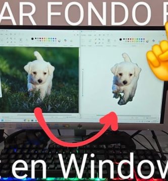 Eliminar fondo foto Paint Windows 11.