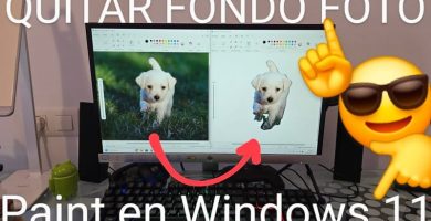 Eliminar fondo foto Paint Windows 11.