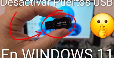 desactivar puertos usb windows 11