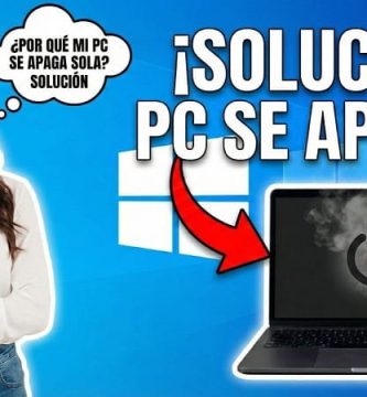 Windows 11 se bloquea solo