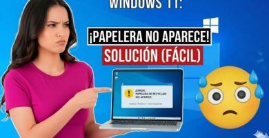 papelera de reciclaje ha desaparecido
