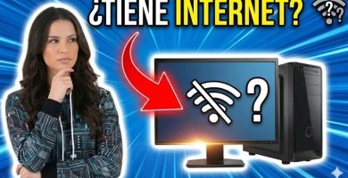 saber si tu PC está conectado a internet