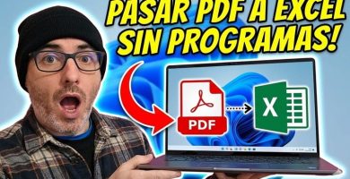 convertir un PDF a Excel